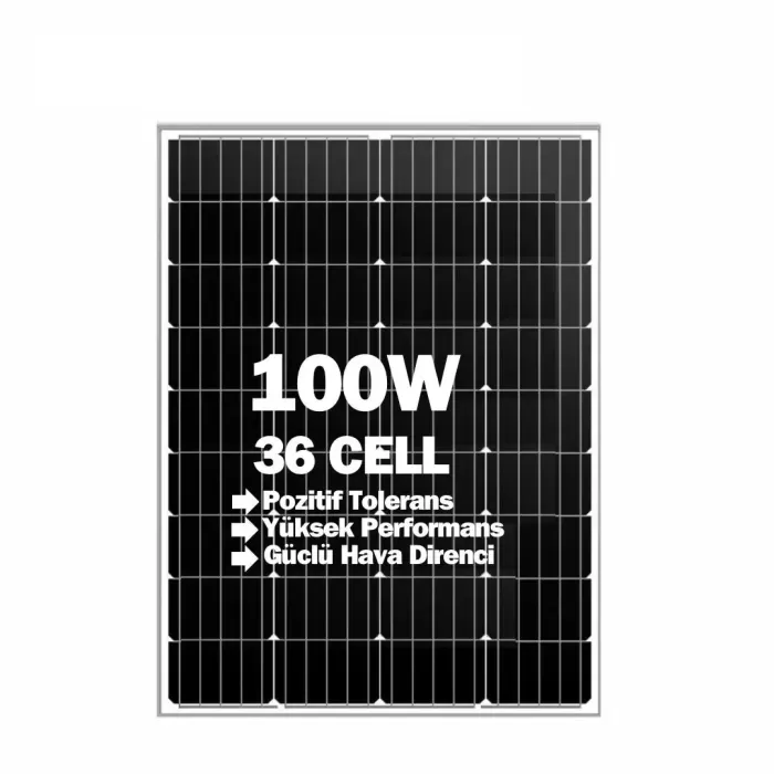 Lexron 110W Monokristal Güneş Paneli