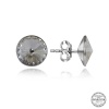 Swarovski Crystal Taşlı Lucky Life 925 Ayar Gumuss  Çivili Lucky Life Lucky Life Kadın Küpe
