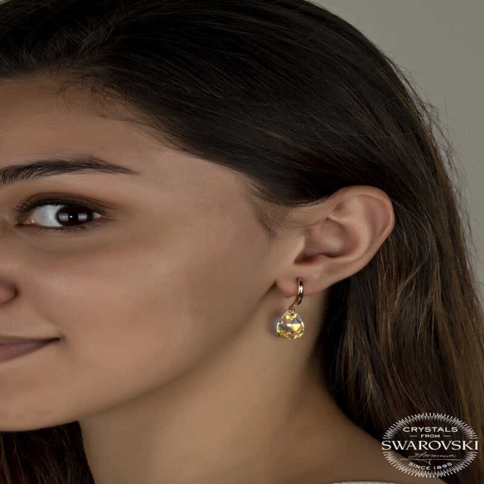 Swarovski Crystal Taşlı Lucky Life 925 Ayar Gumuss  Damla Sallantılı Lucky Life Lucky Life Kadın Küpe