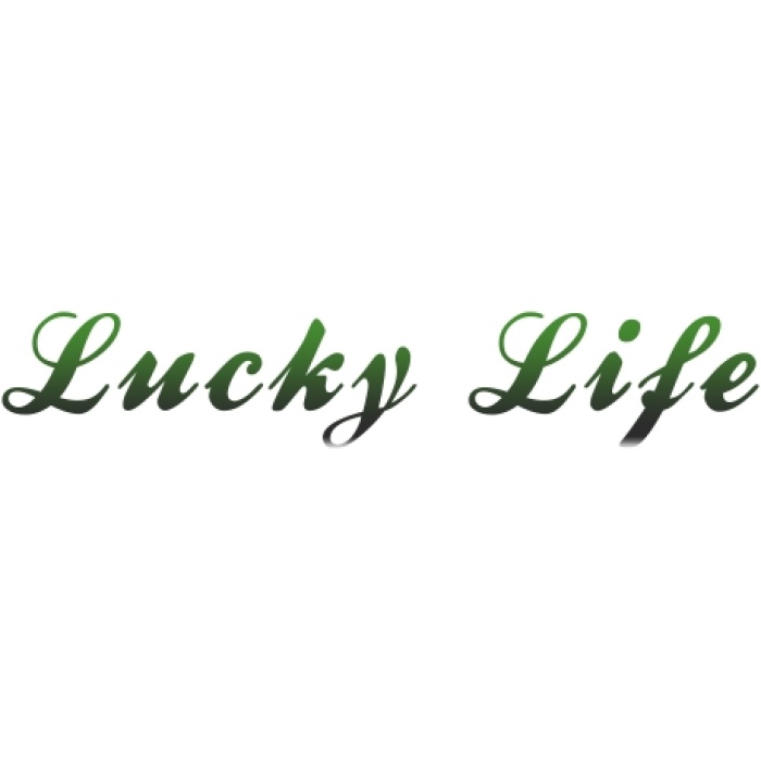 ​Lucky Life 925 Ayar Gumuss Oniks Taşlı Kazaziye Bileklik