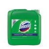 DOMESTOS ÇAM FERAHLIĞI 3240 ML