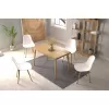 Eames Sandalye Avanos Ahşap Naturel Mutfak Masası Takımı - 70x120 cm