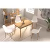 Eames Sandalye Avanos Ahşap Mutfak Masası Takımı - 70x120+30 cm