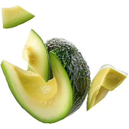 Organik Avokado