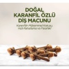 Doğal Diş Macunu 90 Gr Karanfil