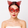 Gizemli Kırmızı Dantel Maske ve Taç Seti 1 No - Kostüm Seti