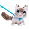 Wag-A-Lots Kedi 28059