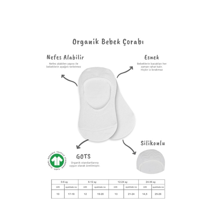 2Li Penye Babet Silikonlu Basic Çorap 30104 Gri Beyaz