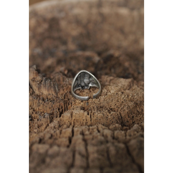 Ayarlanabilir Motifli Kuru Kafa Tasarımlı Erkek Yüzük