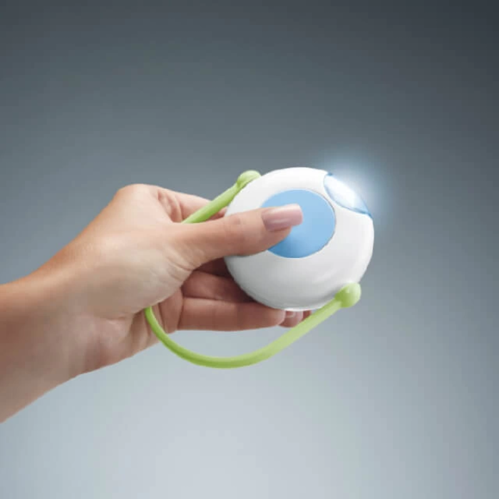 Dönence Kelebekli Rüyalar