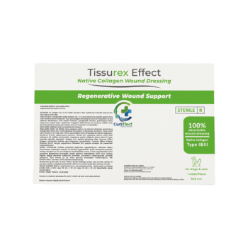 Tissurex Effect %100 Emilen Kolajen Yara Örtüsü 10x10CM