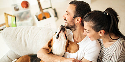 Yeni Bir Can Dostu Sahipleneceklere Alışveriş Rehberi