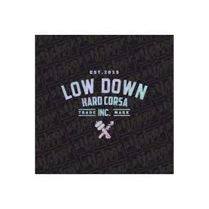 Low Down Hard Corsa Arka Cam Hologram Sticker