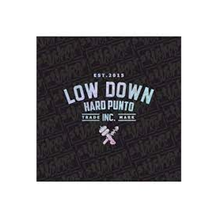Low Down Hard Punto Arka Cam Hologram Sticker
