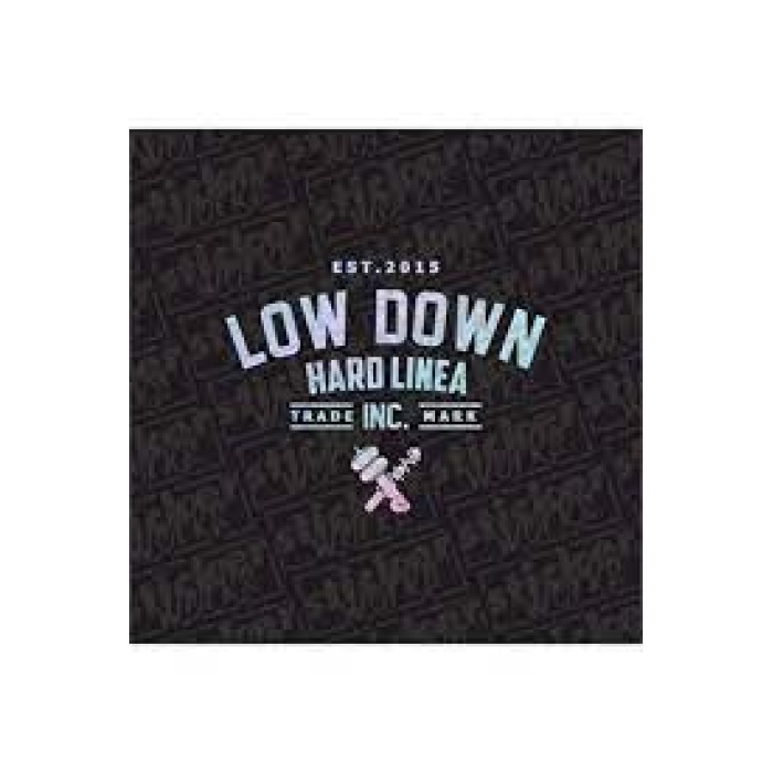 Low Down Hard Linea Arka Cam Hologram Sticker