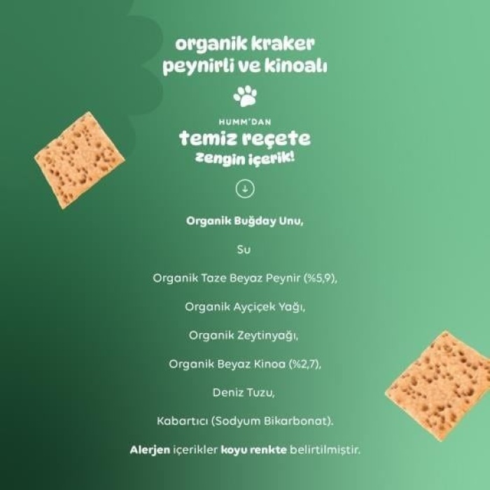 Humm Organik Peynirli Kinoalı Kraker 60gr