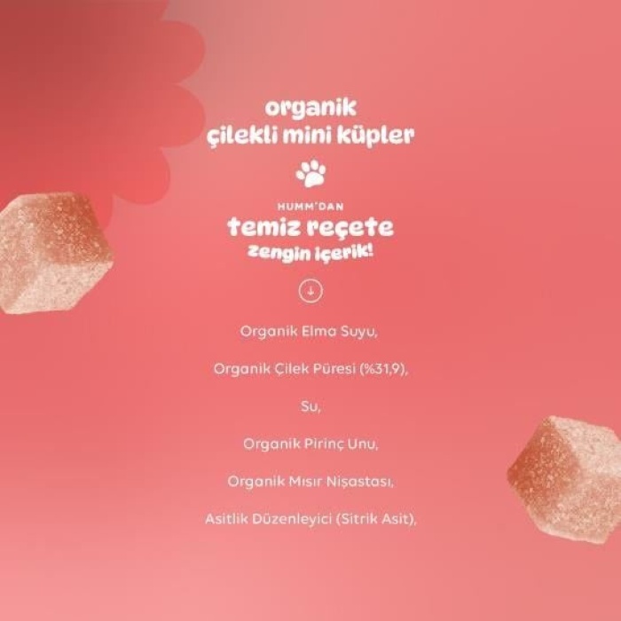 Humm Organik Çilekli Vegan Mini Küpler 30gr