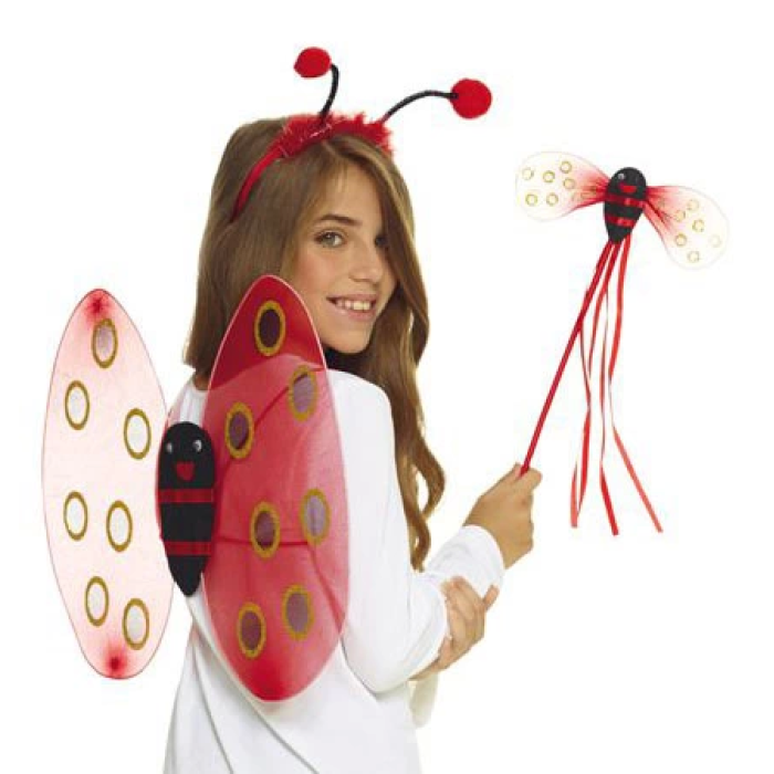 Uğur Böceği Kanat Seti Kanadı Tacı Ve Asası Çocuk Boy