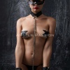 Kedi Maskeli El ve Ayak Kelepçeli - Tasmalı Fantazi Slave Set - APFT1341