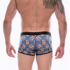 Don Moris Erkek Desenli Boxer