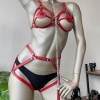 Kırmızı Deri Tasma Detaylı Şık Harness Takım