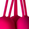 Censan Redvil Kegel Vajinal Top Seti Pembe 16,5 cm
