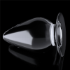 Censan Flawless Clear Anal Plug 4.5 İnç