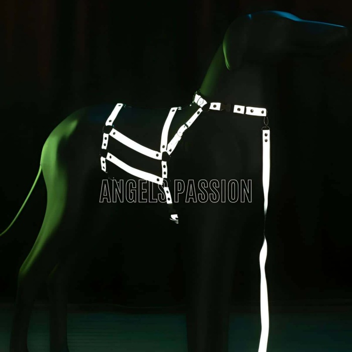 Reflektörlü - Ayarlanabilir Köpek Harness - Köpek Gezdirme Aparatı - NPD007