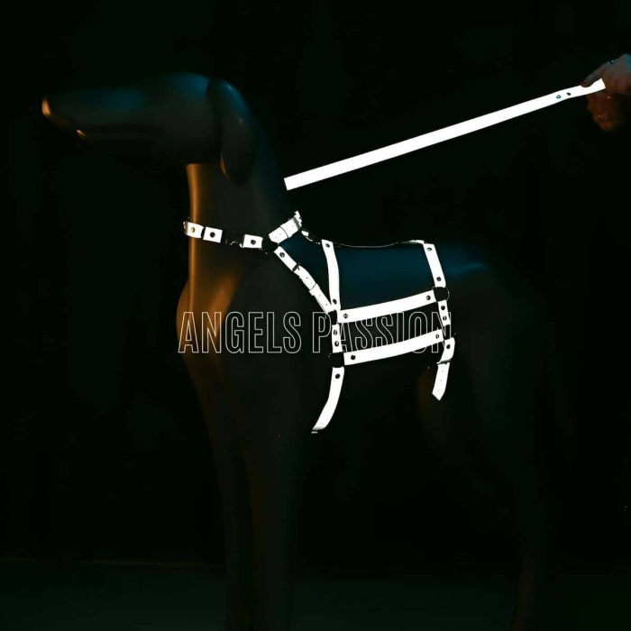 Reflektörlü - Ayarlanabilir Köpek Harness - Köpek Gezdirme Aparatı - NPD007