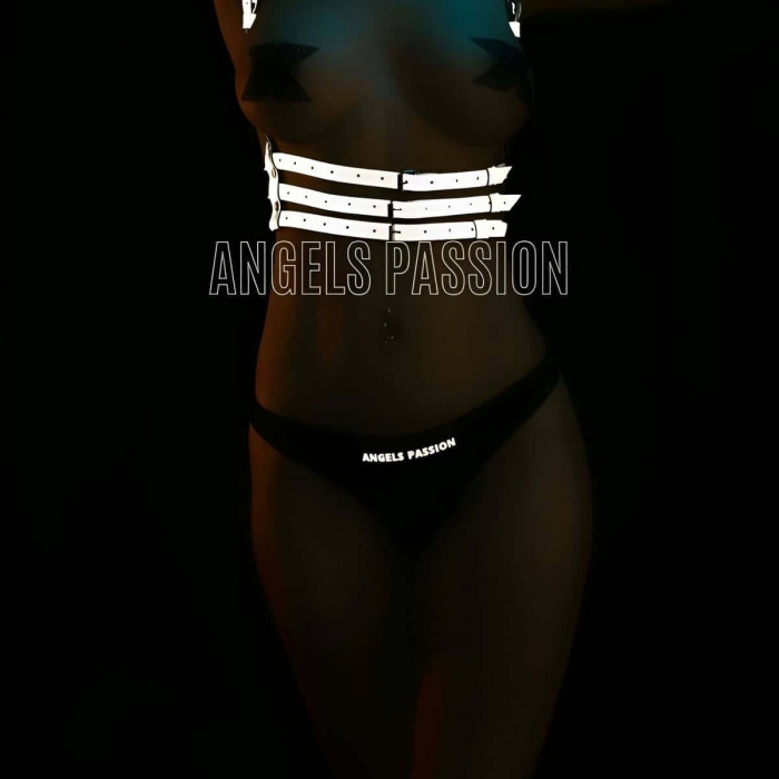 Karanlıkta Parlayan Göğüs Üzeri Harness - APFT178