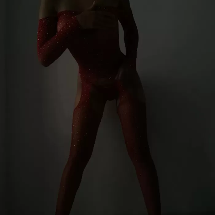 Kadın Özel Bölgesi Açık Kırmızı Fantezi Taşlı Vücut Çorabı