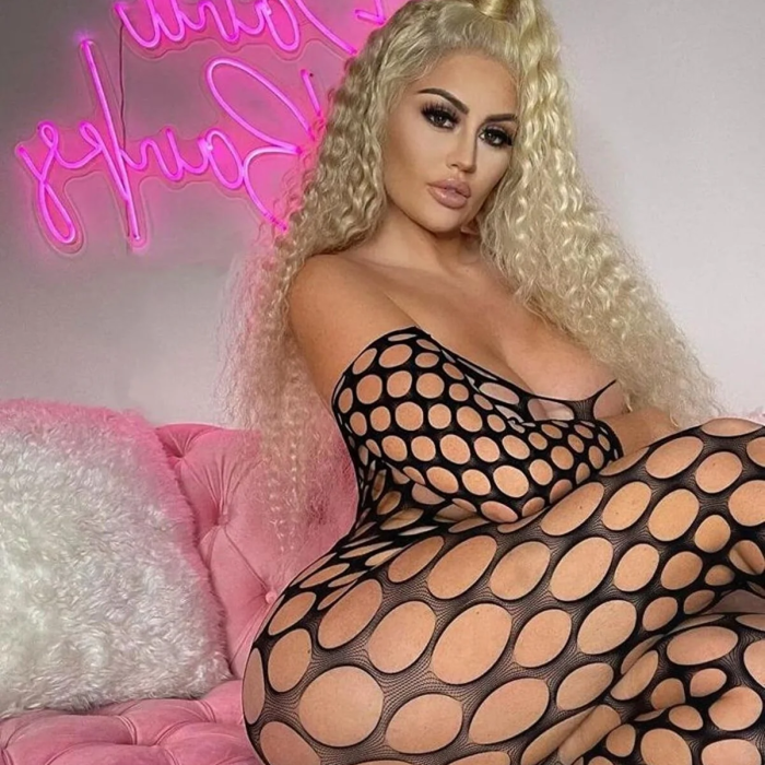 Kadın Özel Bölgesi Açık Siyah File Fantazi Vücut Çorabı