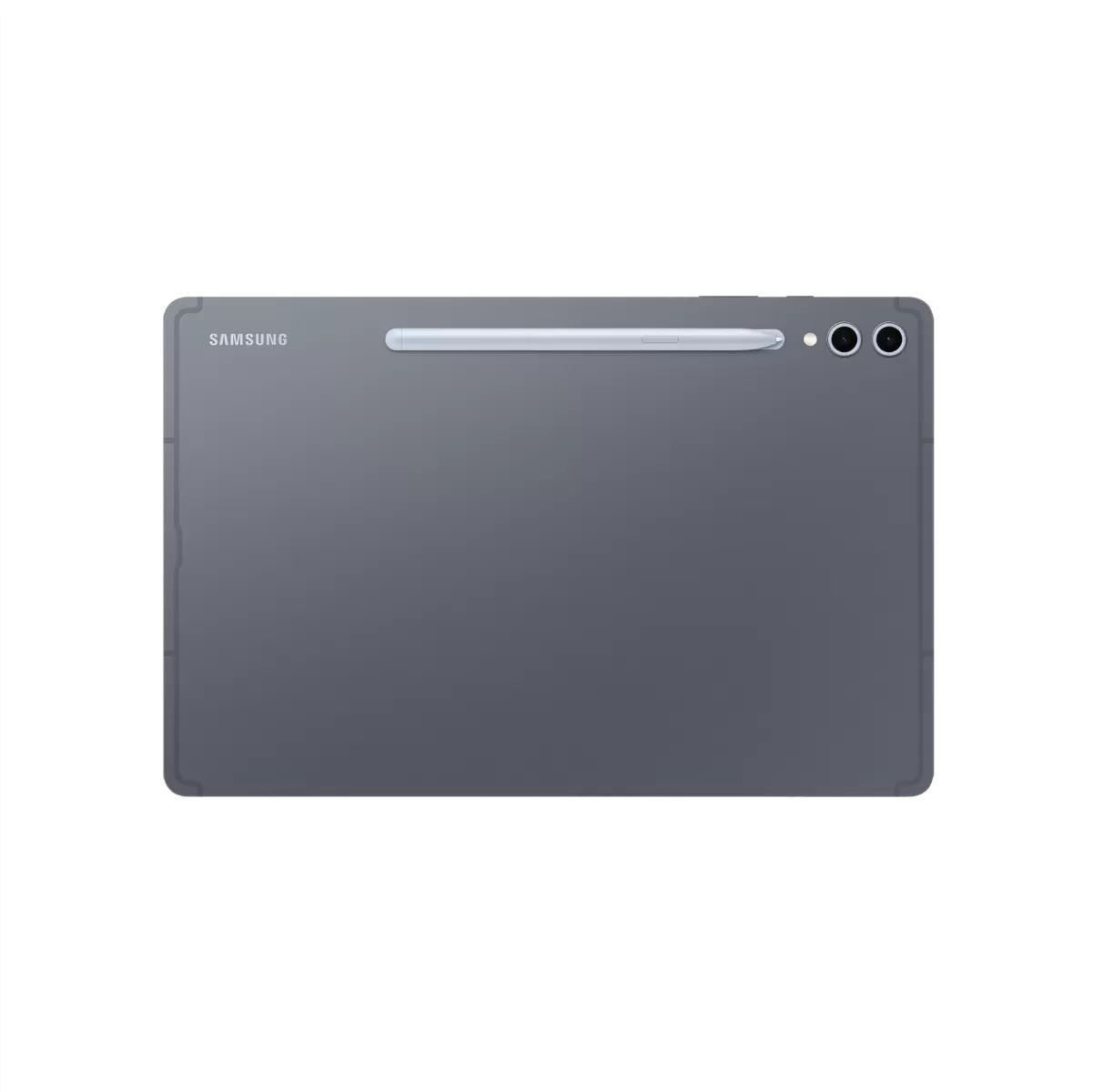 SAMSUNG Samsung Galaxy Tab S10 Plus 256GB Gri Tablet