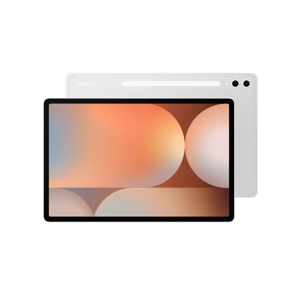 SAMSUNG Samsung Galaxy Tab S10 Plus 256GB Gümüş Tablet