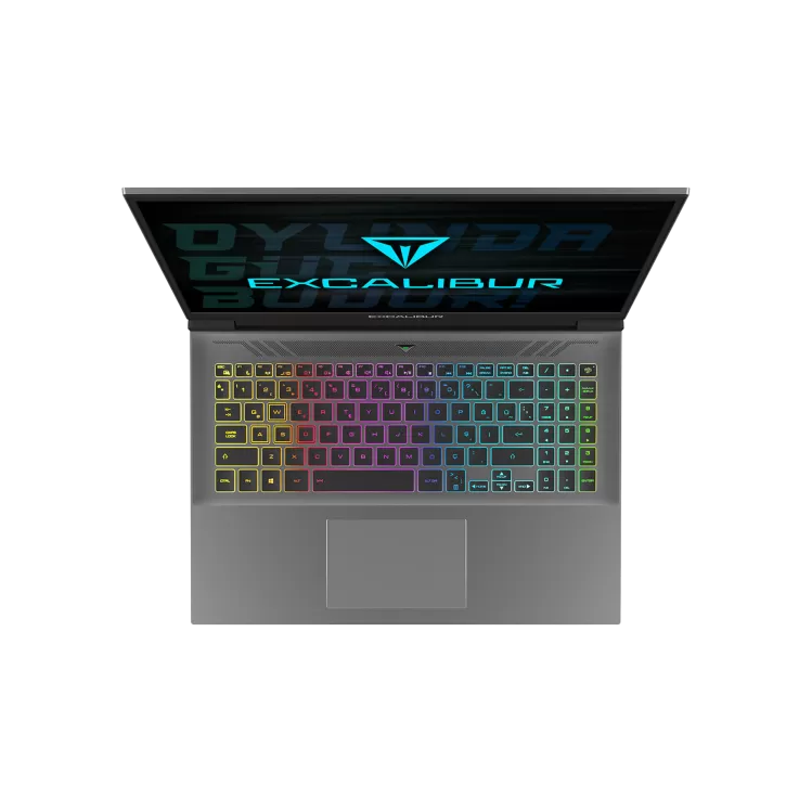 Casper Casper Excalibur i9 32 1TB RTX4090 DF90X Laptop