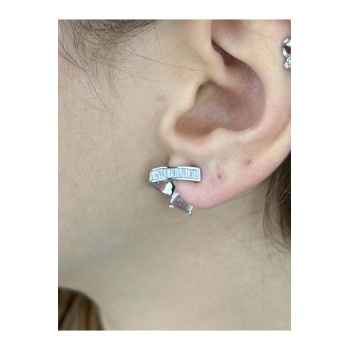 Zirkon Taşlı Küpe 425, Gümüş Renk