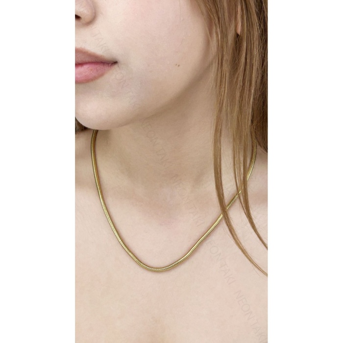 Kolye, Kararmayan Paslanmaz Çelik, Yılan Kombin Model, Altın Renk, Model253