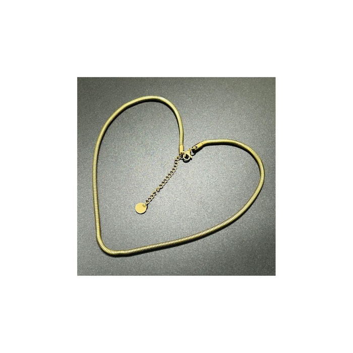 Kolye, Kararmayan Paslanmaz Çelik, Yılan Kombin Model, Altın Renk, Model253