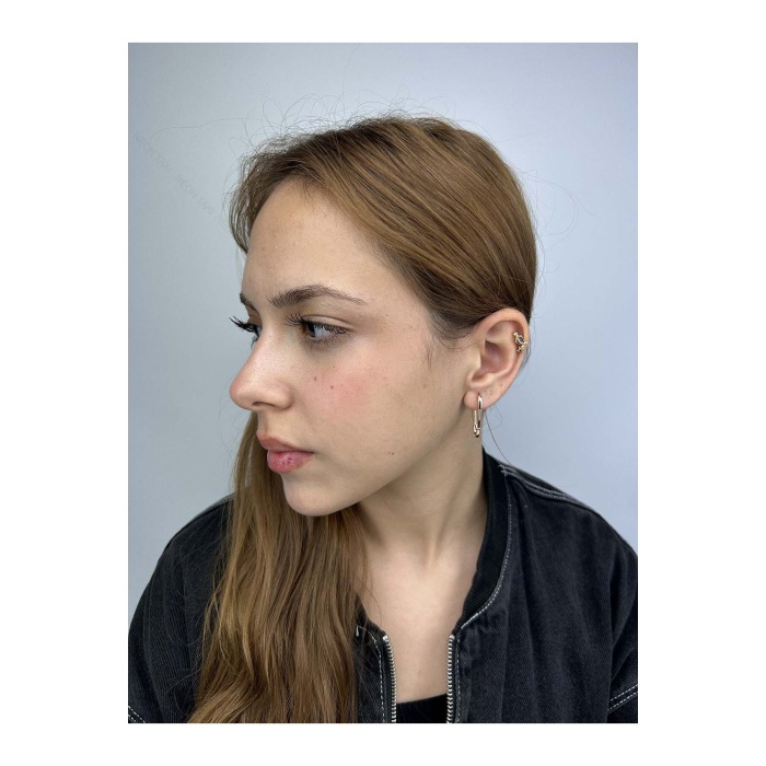 Dik Oval Halka Model, Altın Kaplama Paslanmaz Küpe 242, Pembe (ROSE) Renk