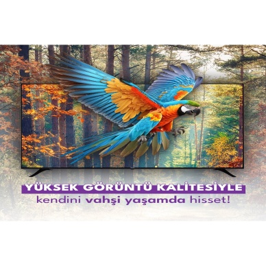 50 127 Ekran Uydu Alıcılı Ultra Hd 4k Smart Led Tv (Refurbished-2 Yıl Garanti)