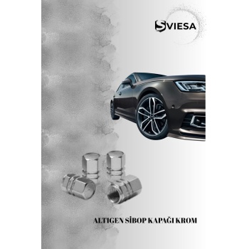 Altıgen Metal Sibop Kapağı 4lü