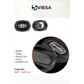 Hoparlör Oval 16x22 cm - 6x9 inç 800W