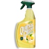 Quick Clean Mutfak Limon 1 Lt