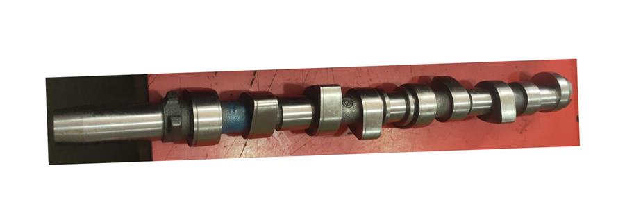 Eksantrik Mili Emme Lgn Iı-Mgn Iı 1.6 16V Okuyuculu Çelik 8200235677