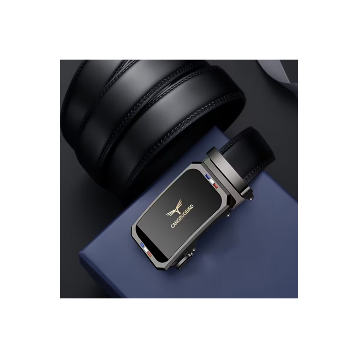 Premium Raylı Paslanmaz Çelik Toka Hakiki Deri Otomatik Erkek Kemer Lüks Hediyelik