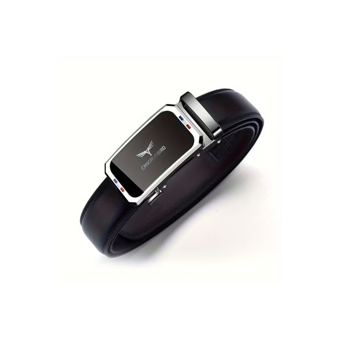 Premium Raylı Paslanmaz Çelik Toka Hakiki Deri Otomatik Erkek Kemer Lüks Hediyelik