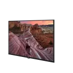 Beko B40HF 500A4-A-BI Hotel Tv