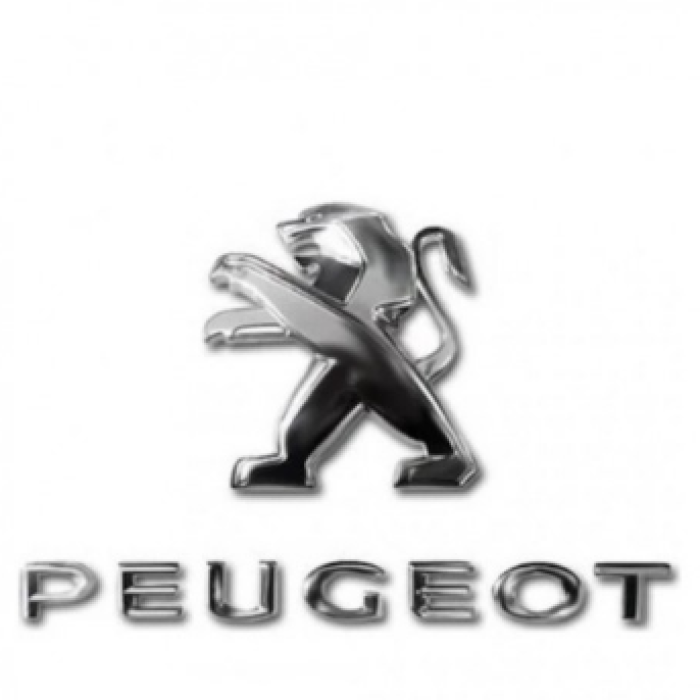 PEUGEOT 301 Y.M. BAGAJ AMBLEM + YAZI SET 9678484677