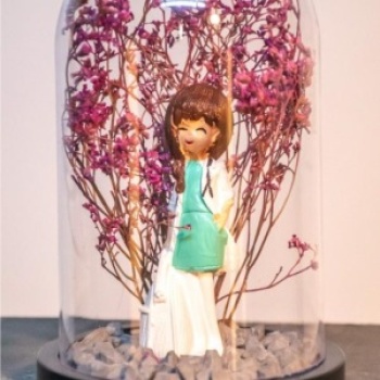 Teraryum Fanus Kadın Doktor İş Hediyesi