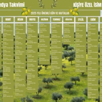 2025 Kişiye Özel Sosyal Medya Takvimi - Özel Günlerle Dolu Eğlenceli Duvar Afişi Zeytin